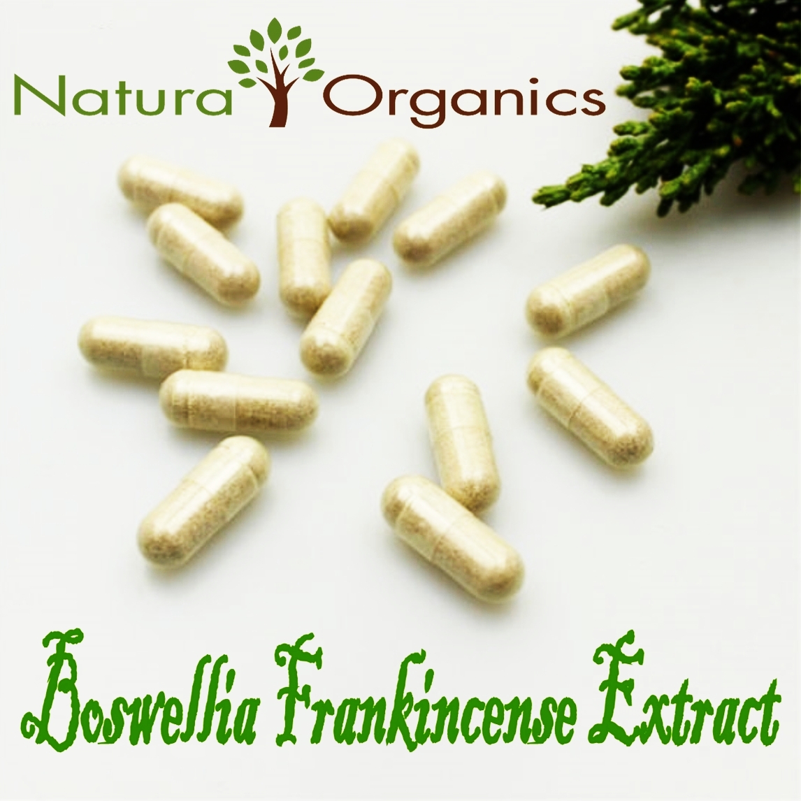 Frankincense Capsules